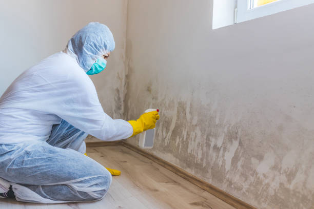 Mold inspector in Watertown performing thermal imaging